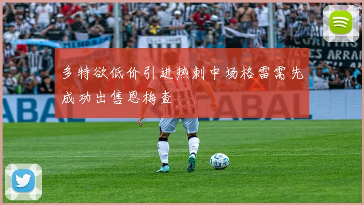 多特欲低价引进热刺中场格雷需先成功出售恩梅查